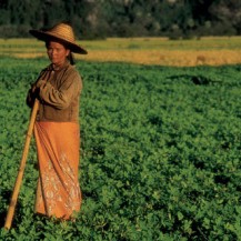 ASIA_2